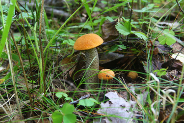 Similar image 5802693