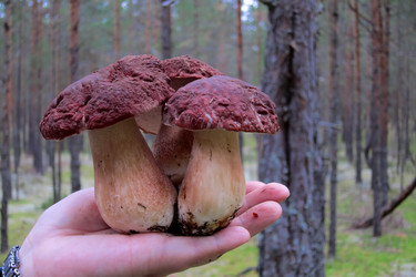 Similar image 5802695