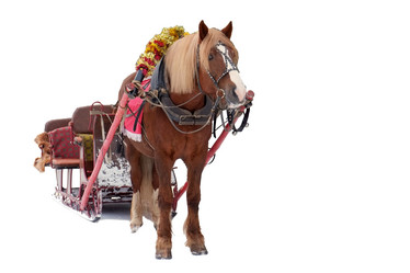 Similar image 5802697