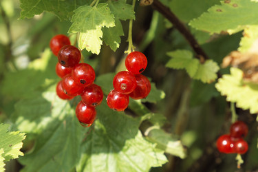 Similar image 5802699