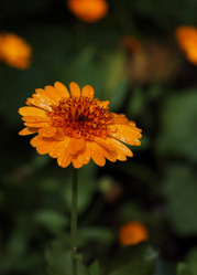 Similar image 5802701