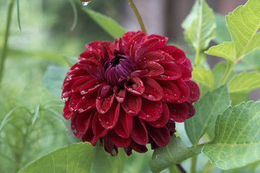 Similar image 5802702