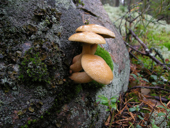 Similar image 5802729