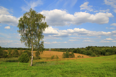 Similar image 5802908