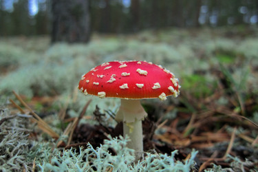 Similar image 5802909