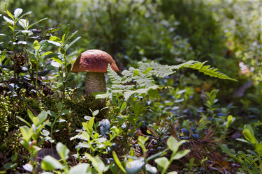 Similar image 5802912