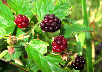 Similar image 5802913