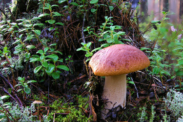 Similar image 5802917