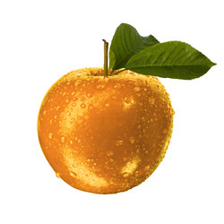 Similar image 5803110