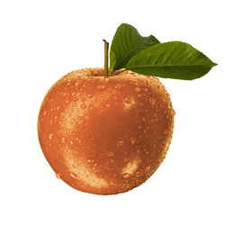 Similar image 5803118