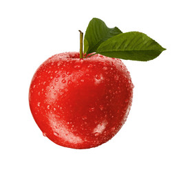 Similar image 5805082