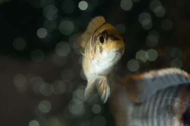 Similar image 5807824