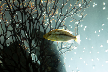 Similar image 5807870