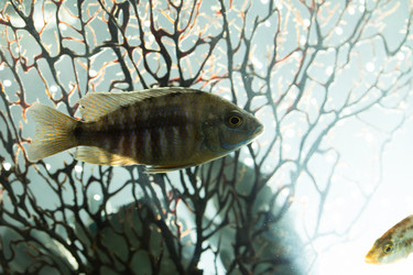 Similar image 5807877