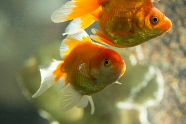 Similar image 5807889