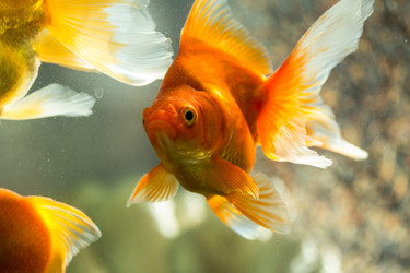 Similar image 5807908