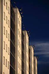 Similar image 5830526