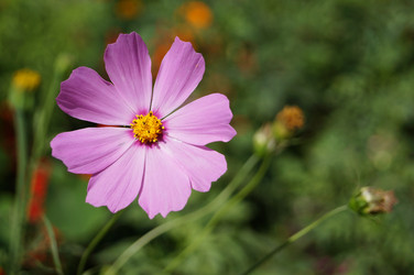 Similar image 5830808