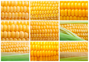 Similar image 5830842