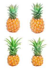 Similar image 5830857