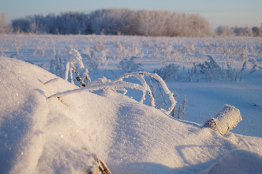 Similar image 5830965