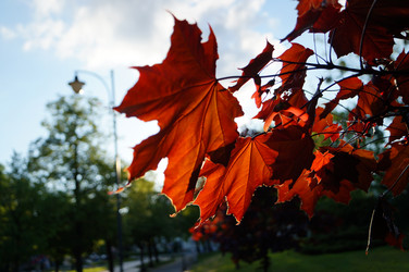 Similar image 5830966