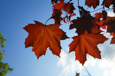 Similar image 5830967