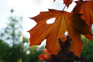 Similar image 5830968