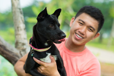 Similar image 5830981