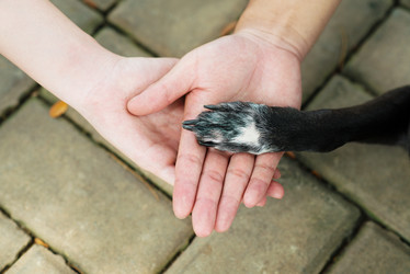 Similar image 5830983