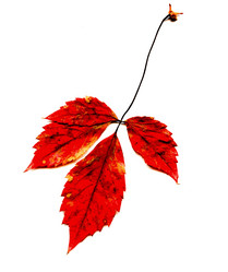 Similar image 5831558