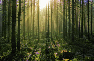 Similar image 5831716