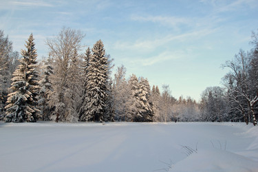 Similar image 5831717