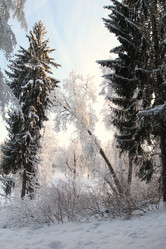 Similar image 5831718