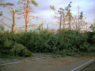 Similar image 5831736