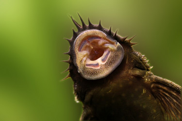 Similar image 5831737