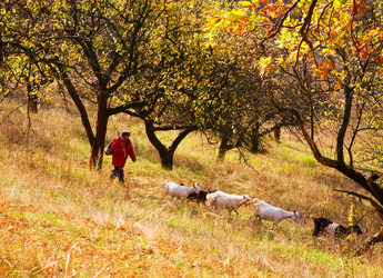 Similar image 5831746