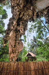 Similar image 5831865