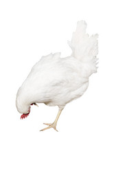 Similar image 5831897