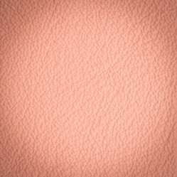 Similar image 5831903