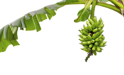 Similar image 5831910