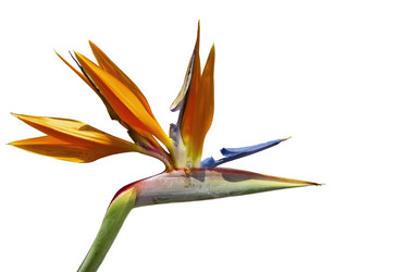 Similar image 5831917