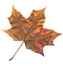 Similar image 5832247