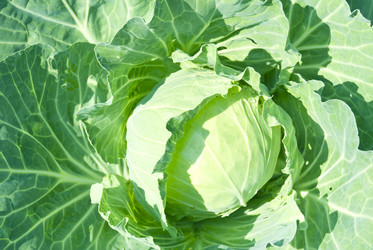 Similar image 5832373