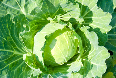 Similar image 5832388