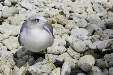 Similar image 5832497