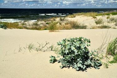 Similar image 5832518