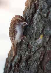 Similar image 5832579