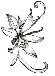 Similar image 5832775