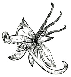 Similar image 5832776